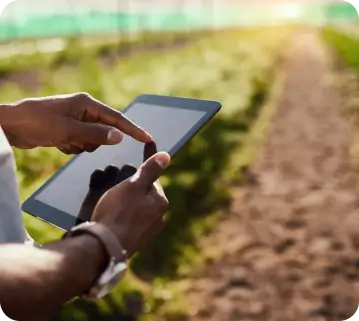 Innovation and Growth