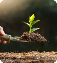 Innovation and Growth