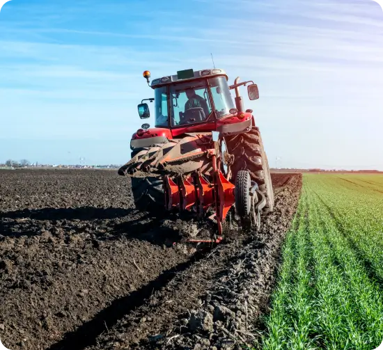 Innovation and Growth