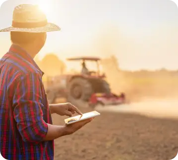 Innovation and Growth